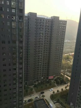 金广厦