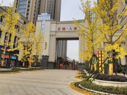 宏维人家