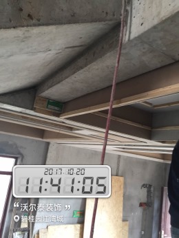 碧桂园魏总爱家
