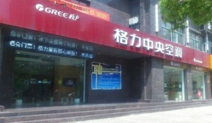 公司介绍